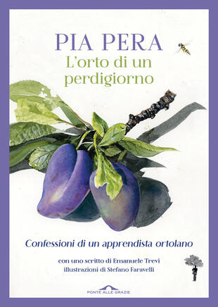copertina L'orto di un perdigiorno