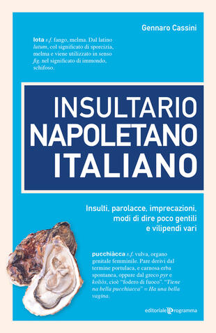 copertina Insultario napoletano italiano. Insulti, parolacce, imprecazioni, modi di dire poco gentili e vilipendi vari