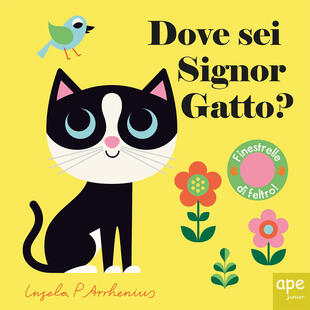 copertina Dove sei, signor Gatto?
