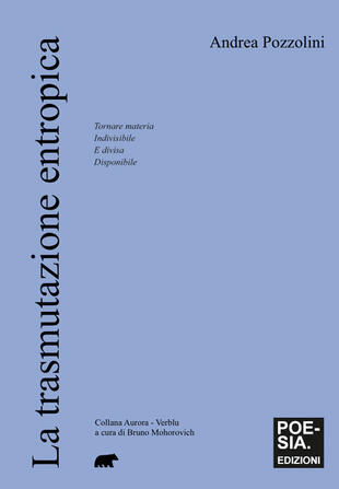 copertina La trasmutazione entropica