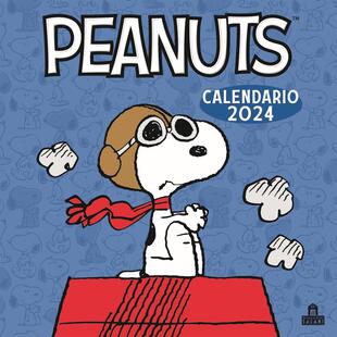 copertina Peanuts. Calendario da parete 2024