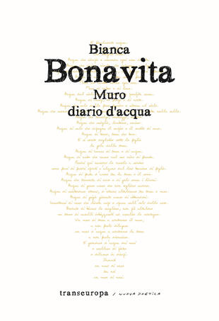 copertina Muro. Diario d'acqua