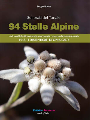 copertina Sui prati del Tonale 94 stelle alpine. Un incredibile ritrovamento, una vicenda riemersa dal passato 1918. I dimenticati di Cima Cady