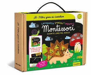 copertina Quante linee nel bosco! Ediz. a colori. Con 2 lavagnette double-face scrivi e cancella. Con 6 gessetti colorati. Con cancellino