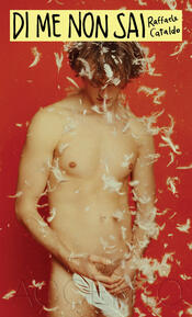 copertina Di me non sai