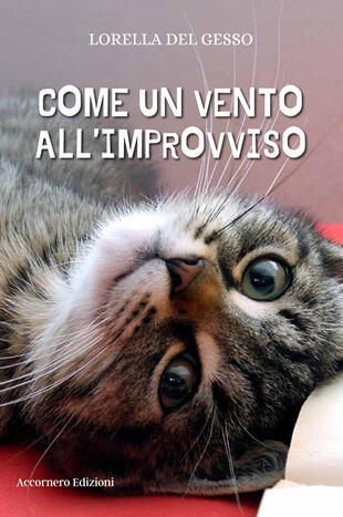 copertina Come un vento all'improvviso