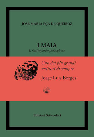 copertina I Maia. Il Gattopardo portoghese. Ediz. numerata