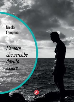 copertina L'amore che avrebbe dovuto essere