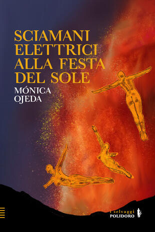 copertina Sciamani elettrici alla festa del sole